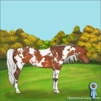 Horse Color:White Spotted Silver Brown 