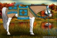 Horse Color:Bay Dun Splash