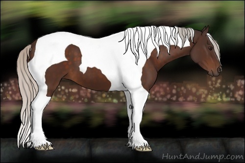 Horse Color:Silver Brown Tobiano 