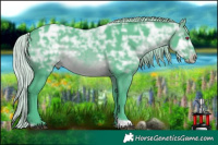 Horse Color:Watercolor Silver Brown Chinchilla Ice Tobiano