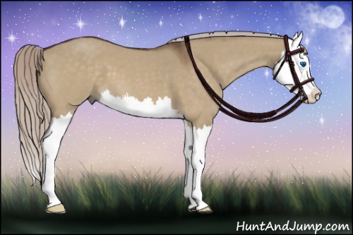 Horse Color:Silver Brown Roan Dun Splash 