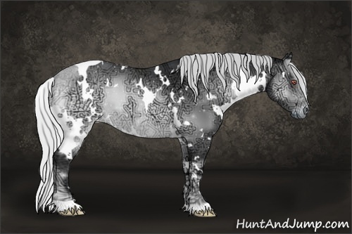 Horse Color:White Spotted Silver Brown Chinchilla Ice Onyx 
