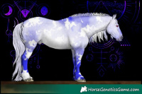 Horse Color:Watercolor White Spotted Silver Brown Chinchilla Dun Rabicano 