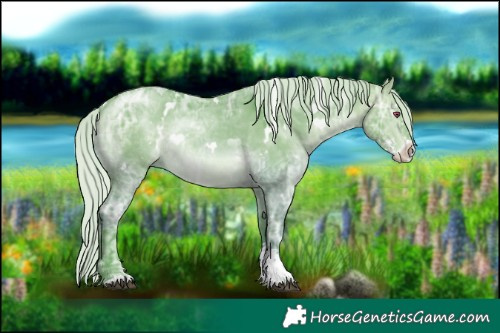 Horse Color:Watercolor White Spotted Silver Brown Chinchilla Ice Dun Sabino 