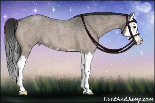 Horse Color:Brown Roan Dun Splash 