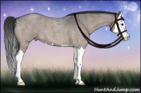 Horse Color:Brown Roan Dun Splash 
