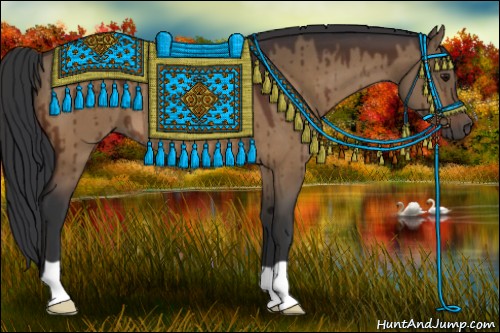 Horse Color:Brown Dun 