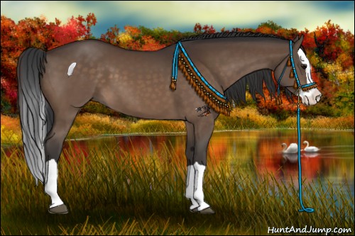 Horse Color:Brown Splash
