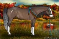 Horse Color:Brown Splash