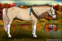 Horse Color:Gold Champagne Dun Sabino Splash Rabicano