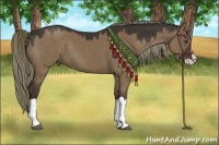 Horse Color:Liver Red Dun Splash 