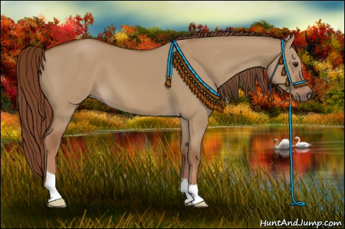 Horse Color:Red Dun