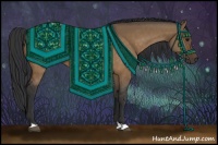 Horse Color:Brown Dun