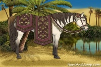 Horse Color:Buckskin Dun 