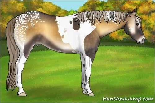 Horse Color:Chocolate Palomino Onyx Tobiano 