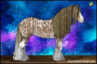 Horse Color:Painted White Spotted Liver Chestnut Splash Near Leopard  and Painted White Spotted Liver Red Dun Splash 