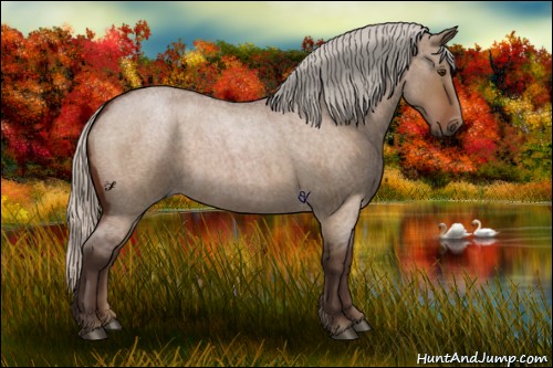Horse Color:Silver Brown Roan Dun 