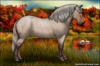 Horse Color:Silver Brown Roan Dun 