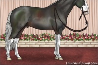 Horse Color:Liver Chestnut Mushroom Splash 