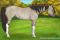 Horse Color:Liver Red Dun Rabicano 