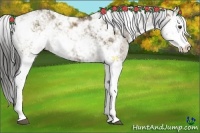 Horse Color:Liver Red Dun Ice Sabino Rabicano 