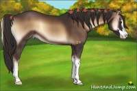 Horse Color:Liver Red Onyx Sabino