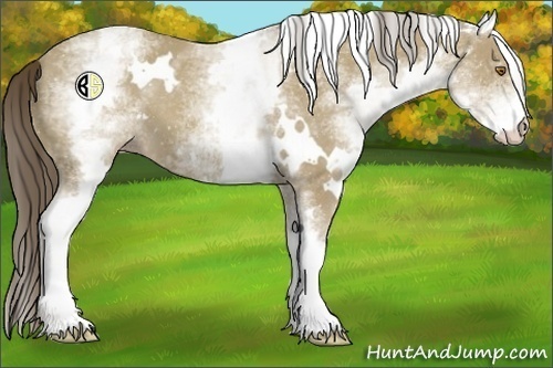 Horse Color:White Spotted Classic Cream Champagne