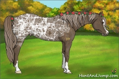 Horse Color:Chocolate Palomino Ice Sabino 