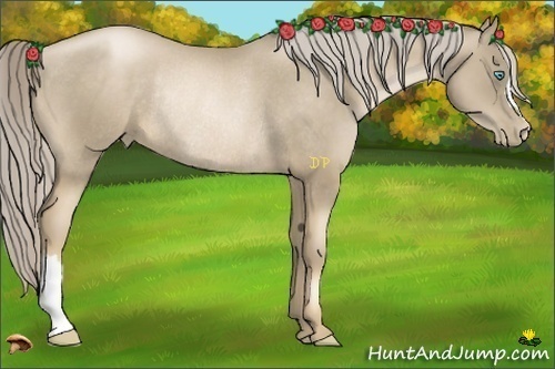 Horse Color:Chocolate Palomino Pearl Rabicano