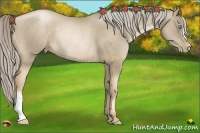 Horse Color:Chocolate Palomino Pearl Rabicano 