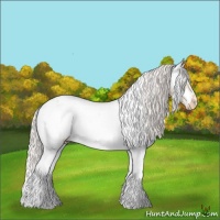 Horse Color:White Spotted Silver Amber Champagne Dun Splash Frame Appaloosa Rabicano