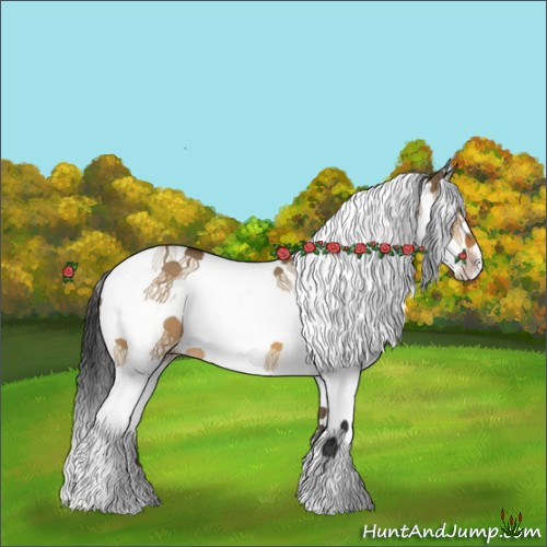 Horse Color:White Spotted Bay Dun Splash Tobiano 