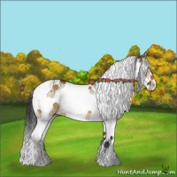 Horse Color:White Spotted Bay Dun Splash Tobiano 
