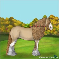 Horse Color:Red Dun Sabino