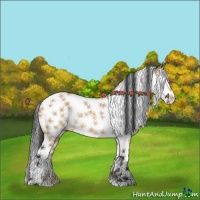 Horse Color:Bay Dun Splash Tobiano Rabicano 