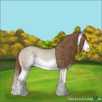 Horse Color:Red Dun Sabino Splash Rabicano