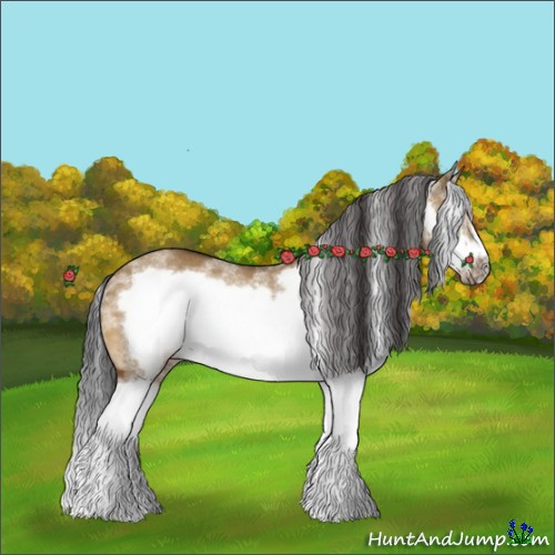 Horse Color:White Spotted Bay Dun Splash Frame Rabicano