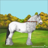 Horse Color:Grullo Roan Tobiano Frame 