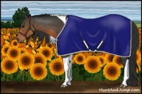 Horse Color:Brown Sabino Tobiano