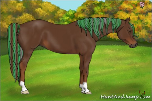 Horse Color:Gray Painted Chestnut 