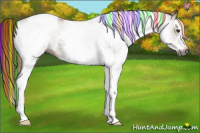 Horse Color:Gray Painted White Spotted Chestnut Tobiano 
