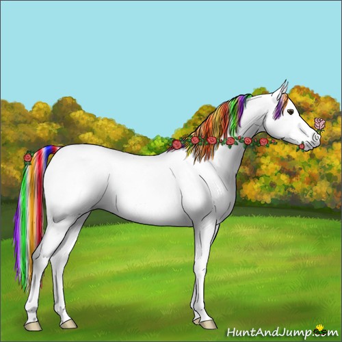 Horse Color:Gray Painted White Spotted Red Dun Splash Tobiano