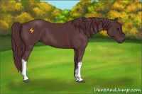 Horse Color:Chocolate Brown 