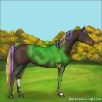 Horse Color:Painted Liver Chestnut 