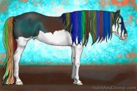 Horse Color:Painted Brown Splash 