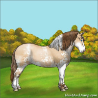 Horse Color:Gray White Spotted Buckskin Pearl Splash Tobiano