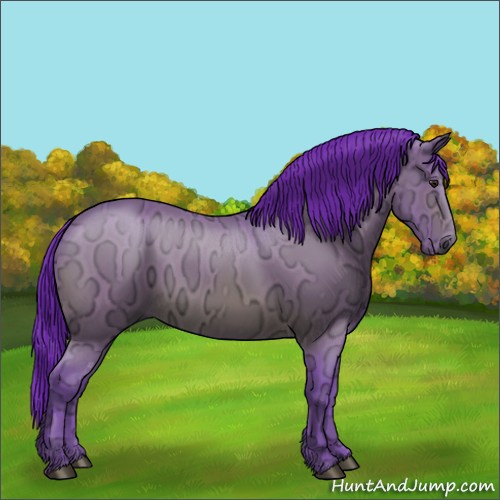 Horse Color:Gray Watercolor Buckskin Ice Rabicano