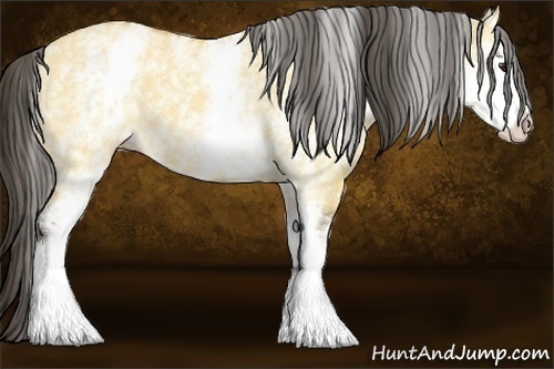 Horse Color:White Spotted Buckskin Dun 