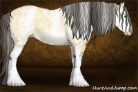 Horse Color:White Spotted Buckskin Dun 