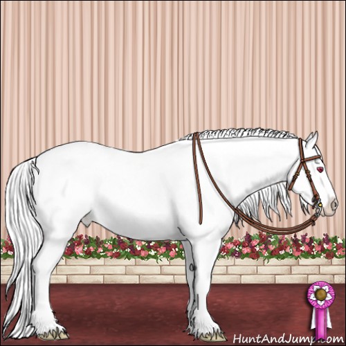 Horse Color:Liver Chestnut Chinchilla Sabino Splash Tobiano Appaloosa 